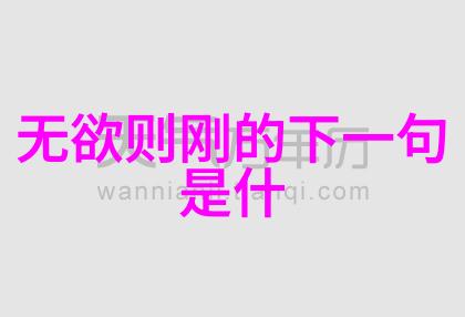 无声的启示探索道家文化中的道家名句大悟无言
