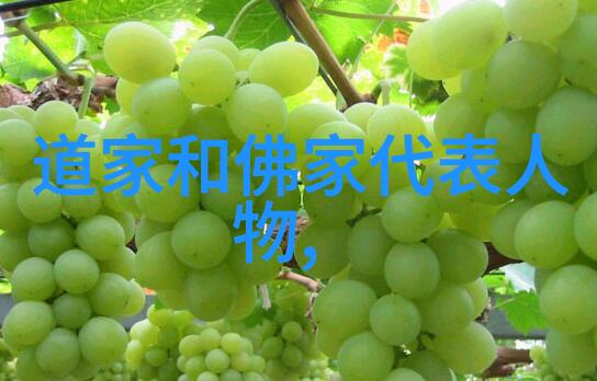 道韵深处的巅峰者