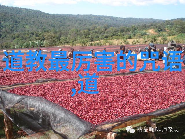 优秀经典古诗词鉴赏短篇品味千古我和你一起领略唐宋诗人的韵味