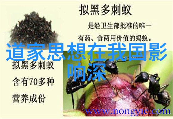 悟透了天道规律揭秘宇宙之谜与人生智慧的奥义