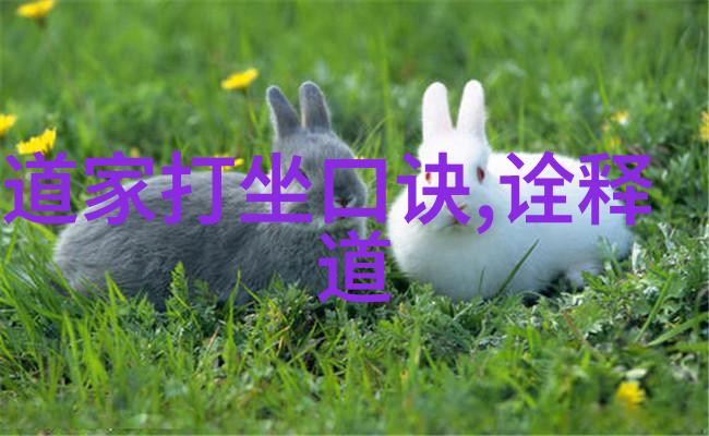无欲则刚剖析一个坚韧女性的心理世界