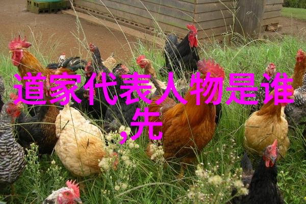 反思与创新将古老的习俗融入现代生活中的方法