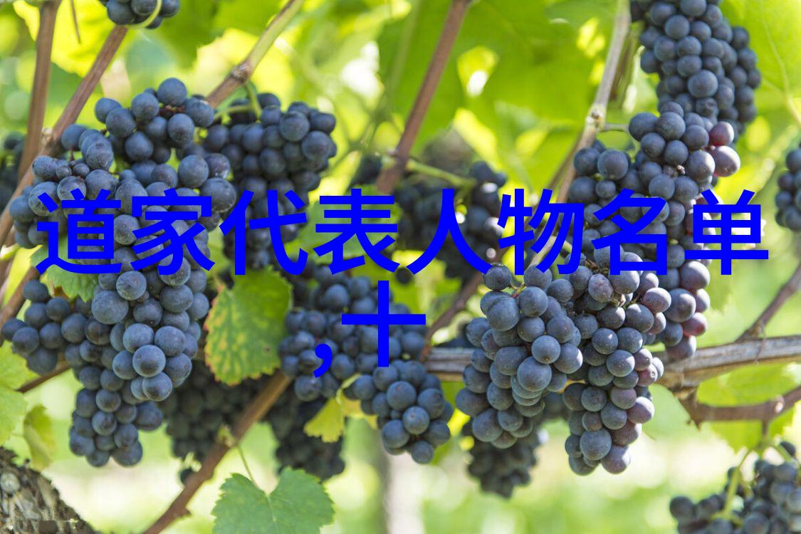 刚若无欲天地之极致