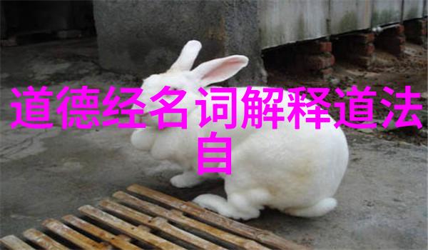 无不为而为无为而不为我是这样在生活中找到了平衡的