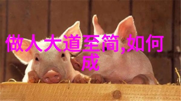 无为之舞虚空中绘梦境