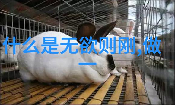隐喻与寓意对比解读道教太上感应篇中的语言风格