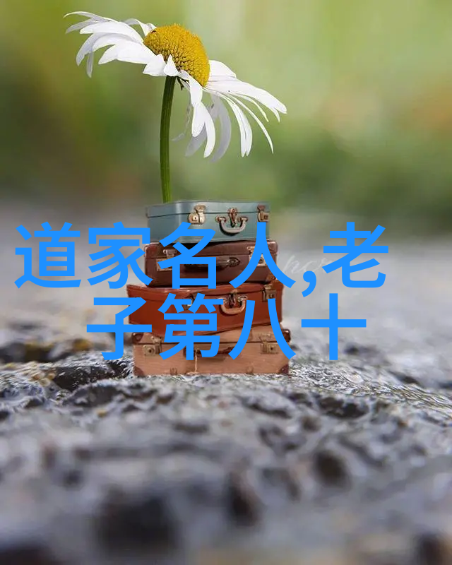 公交车后座的疯狂做细节知乎用户分享生活小技巧