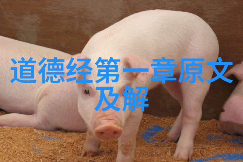 道家修行的十部经典书籍道家入门必读书单