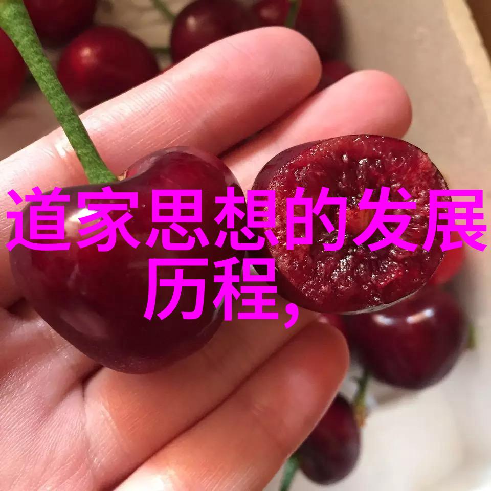 道法自然对抗现代社会压力的策略