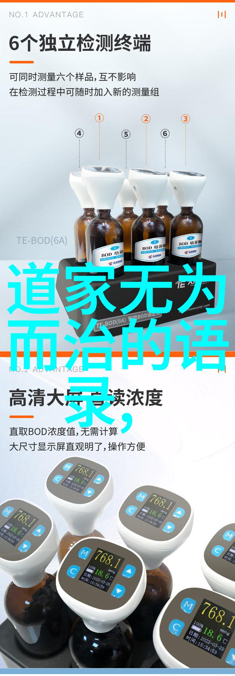 道教四大真人指的是那些在修炼中不仅内力强大还能让自己变成真正的老实人