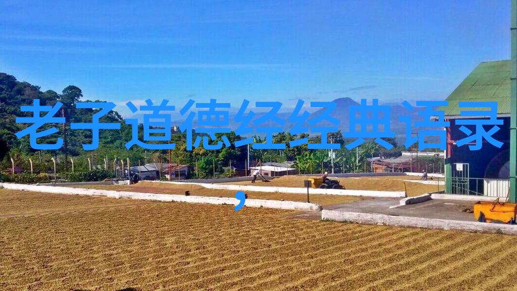 对道教的看法2000字我是这样想的聊斋先生与现代人探索道教智慧在当代生活中的应用
