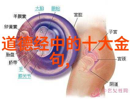 道家代表人物及作品我来聊聊那些老大哥们的故事和经典书籍吧