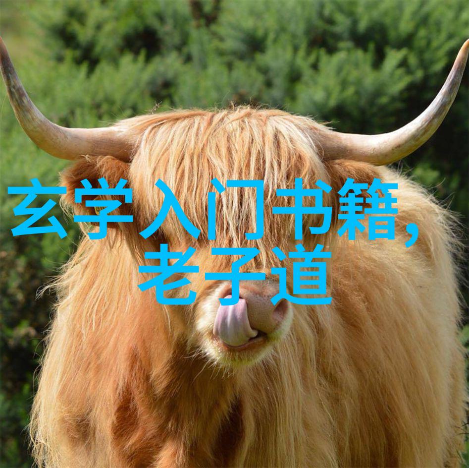 红颜知己的军婚生活高干夫妻的爱情与权力之战