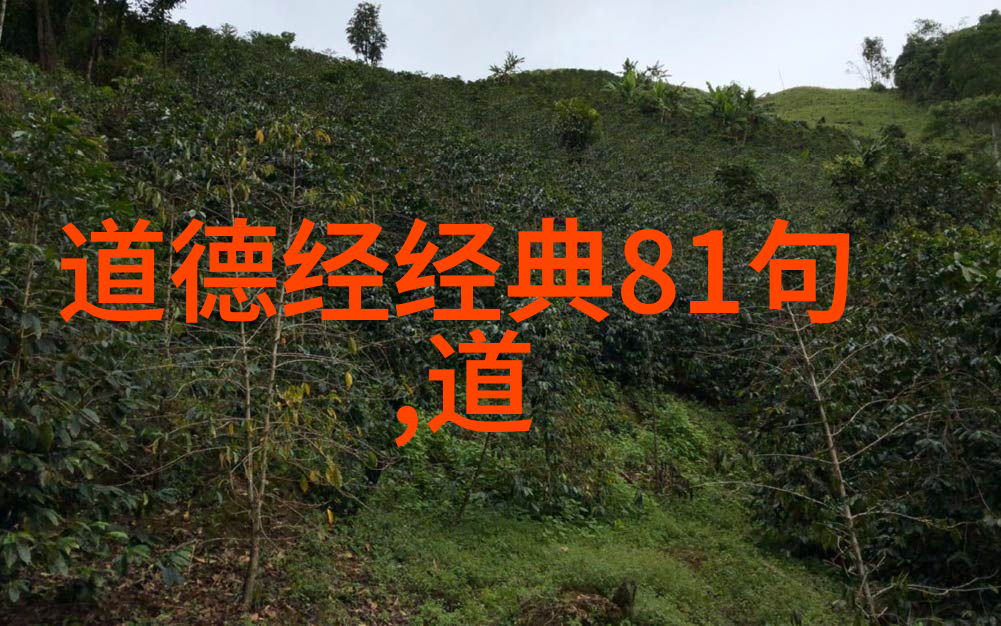 道家九字真言的奥秘与力量道家的九字真言背后的深远意义和强大效力