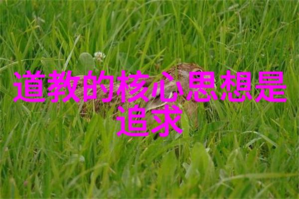 探索大道至简的来源从哲学到设计的智慧