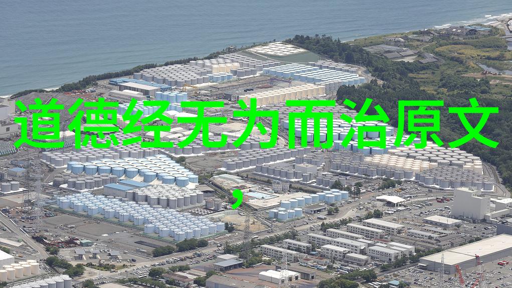 春秋战国道家代表人物和思想探索天人合一的智慧之光