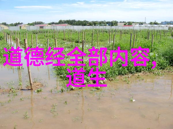 道藏秘籍天师对决之谜