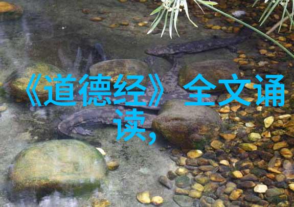 易经性格象征女性性格解读