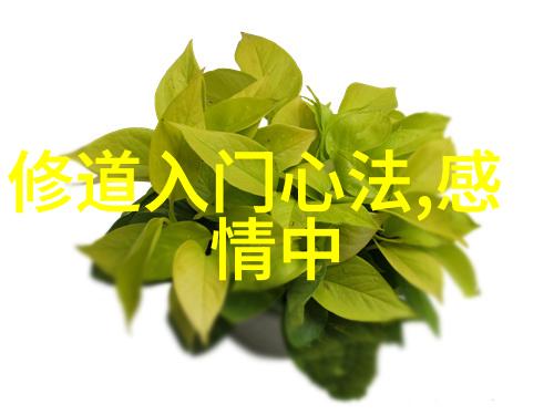 我孙悟空的末路探寻大侠在哪一年化为灰烬
