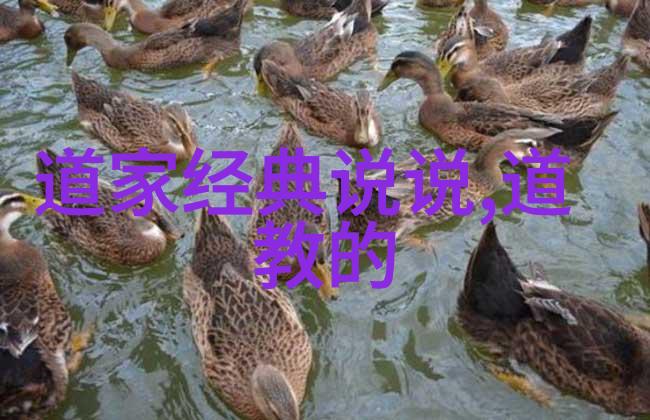 女人说化缘的故事传统女性求助社会的方式