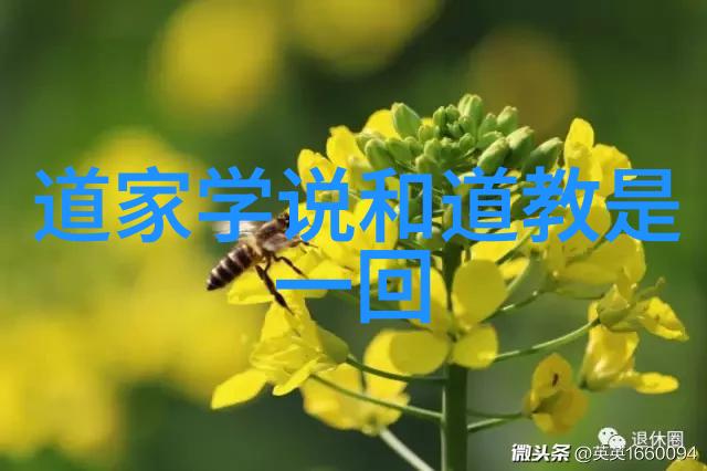 在中国文化传统中为什么说老子是万物之灵