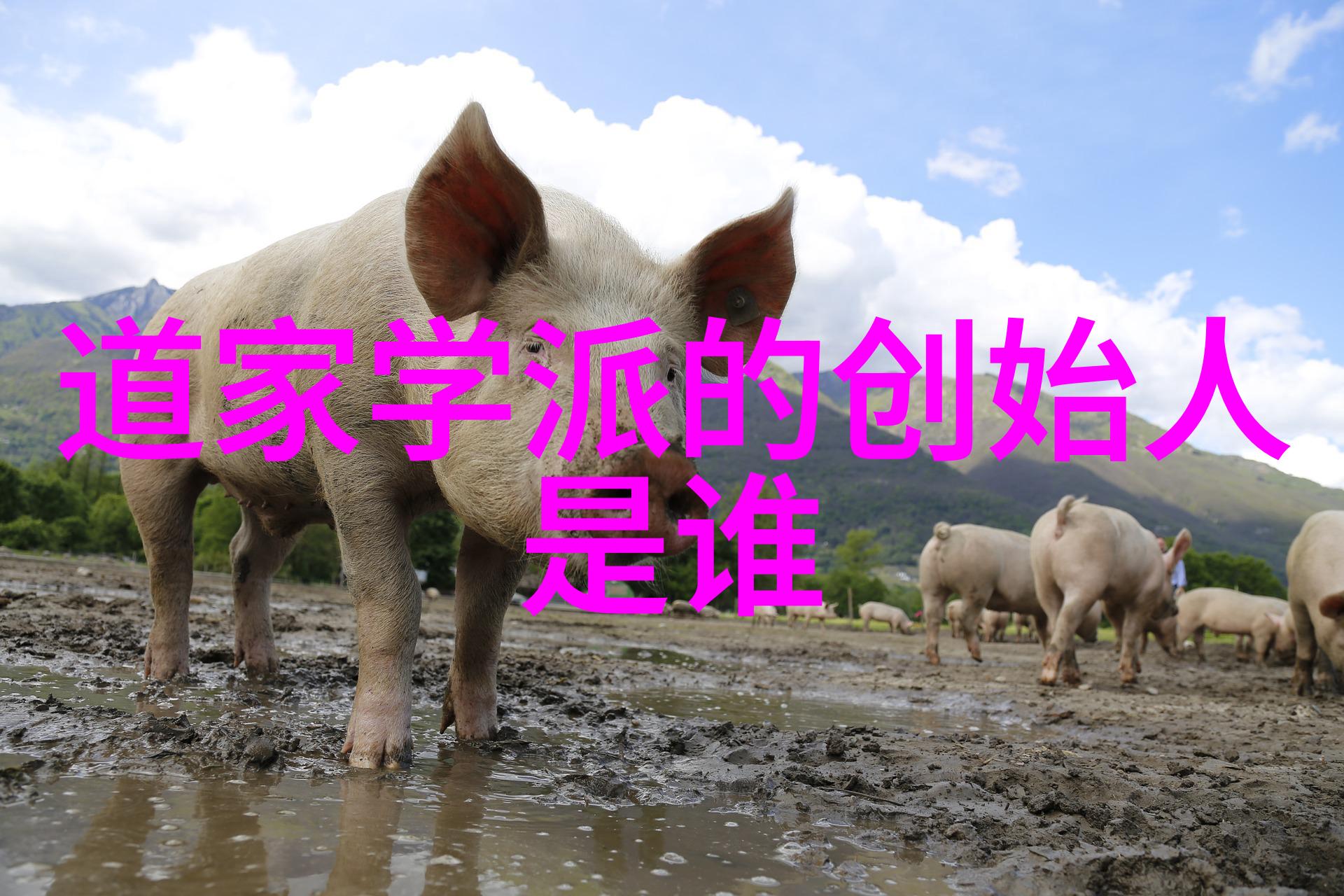 九字真言的威力我亲自体验过那些让人震撼心灵的简单话语