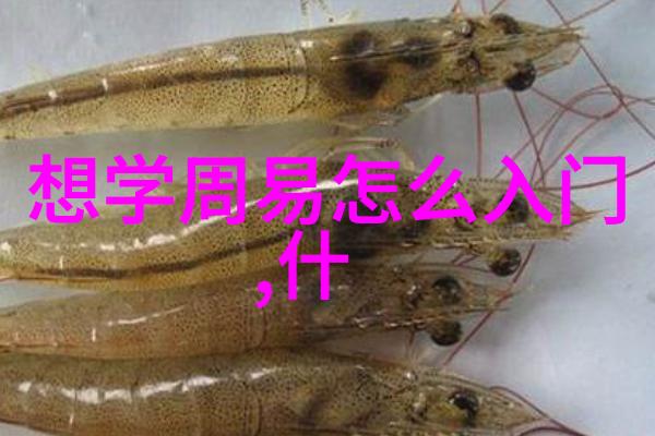 白居易对唐代文学和政治都有很大影响但他是否也算得上是儒家的代表人物