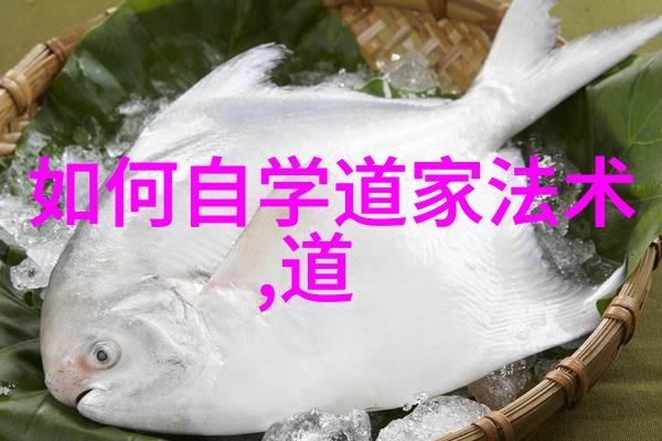 道家学的是什么探索内在之道的奥秘