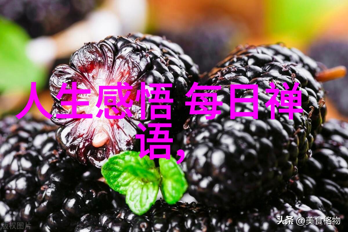 2025年冬至是哪一天春节时间几月几日家人聚首喜事连连