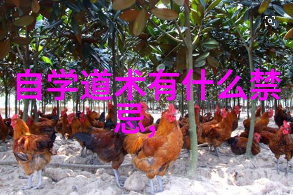现代道教代表人物-寻踪现代道教先锋传统与变革的双刃剑