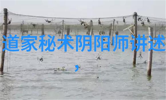 道家十大经典书籍探秘这十本让你内心平和的神书