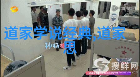 王充东汉时期理学文学和宗教哲学多才多艺的人物