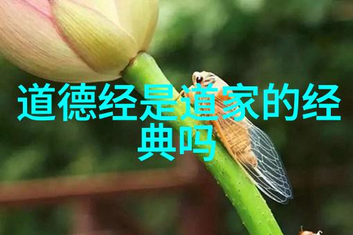 揭秘打通小周天的最快功法超凡内功与神速修炼之道