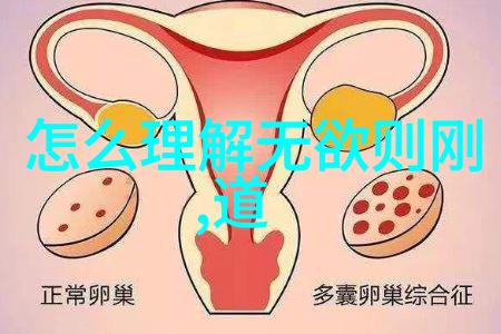 道教四大真人之争权力与修炼的双重考验