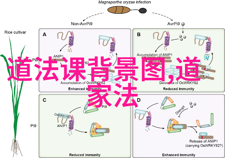太上感应篇解读揭秘道家的玄机与内丹修炼