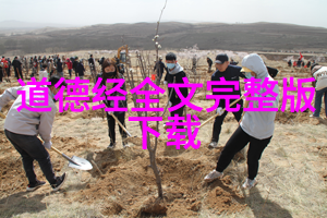 81章全文拼音字典详解道德经中每个字的发音与含义