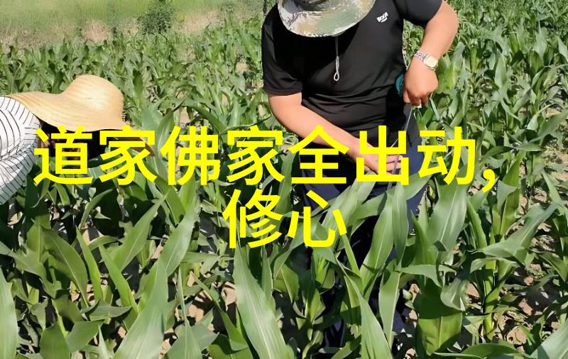 修行中的秘密隐匿的力量与内心的光明