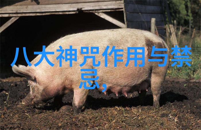 寻觅九字真言之谜修炼的秘密在何处