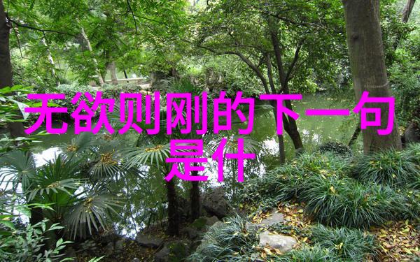 道德经的智慧老子思想的深邃之谜