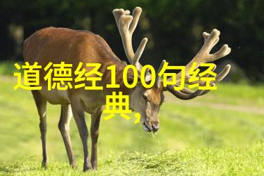 道家语录之谜解读古人的智慧