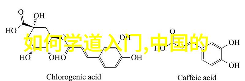 神秘访客揭开如来身份的迷雾