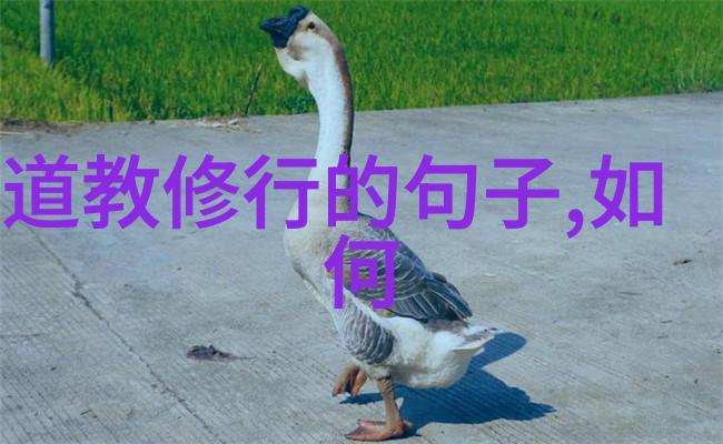 道号选择揭秘取个道家名字的艺术与智慧