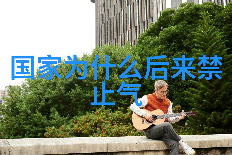 公交车后座的疯狂CGH一场时间与空间的奇幻旅行