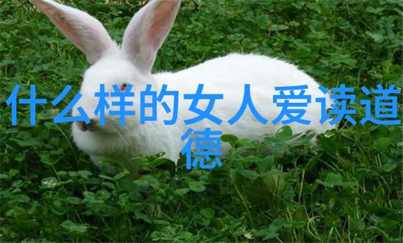 象数相配奇偶辨明探寻性别视角下的易理