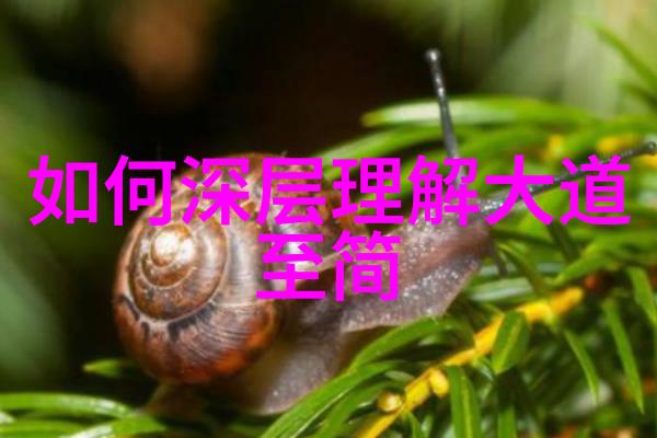 道教文化与中国民俗_道教文化 -天然道观