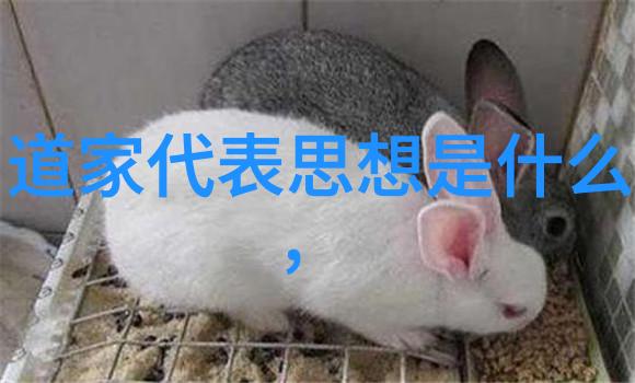 战国时期道家学派我和老子探索战国时期道家的智慧