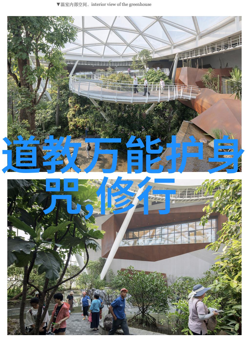 道德之鉴探索道德境界的人物代表