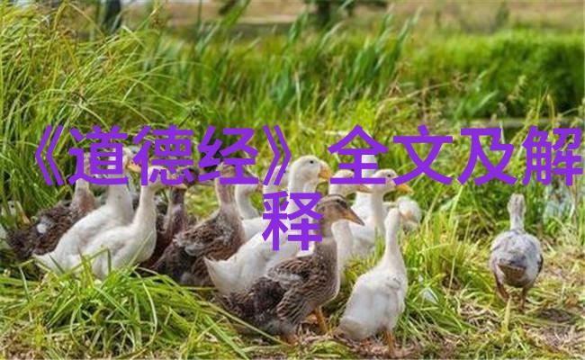 道家的实践者们追踪老子的精神后代