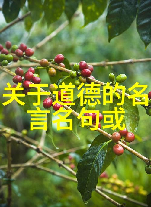 无为而不为的智慧深入探索生活中的适时放松与坚持
