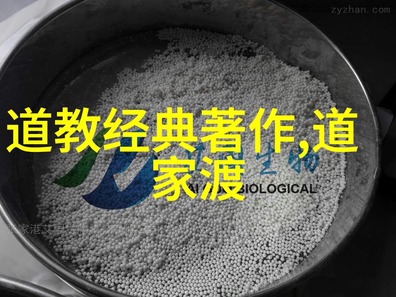 道家智者探秘古代哲学大师